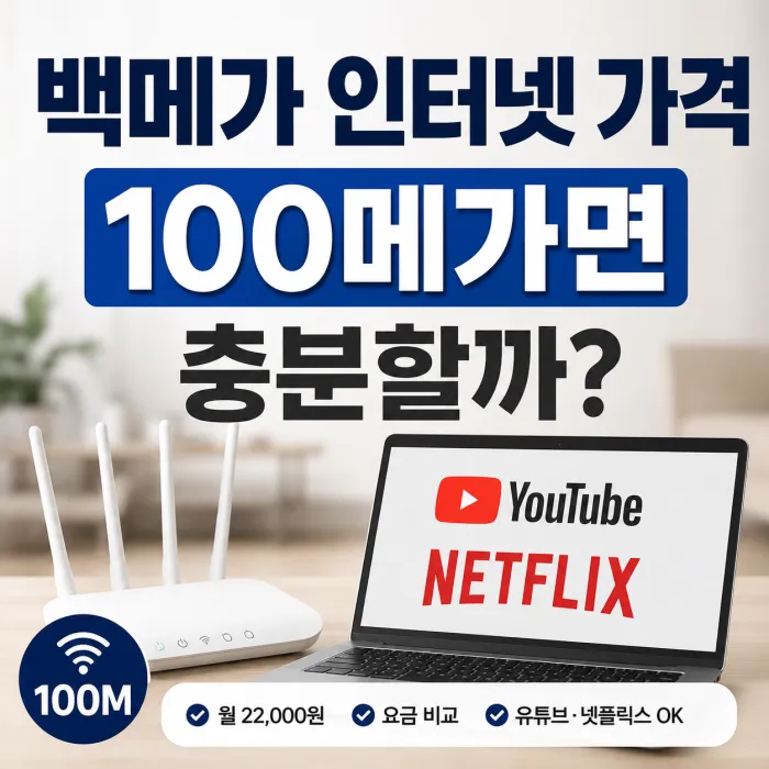 백메가 인터넷 가격과 100메가 인터넷 속도 비교, 유튜브 넷플릭스 이용 환경