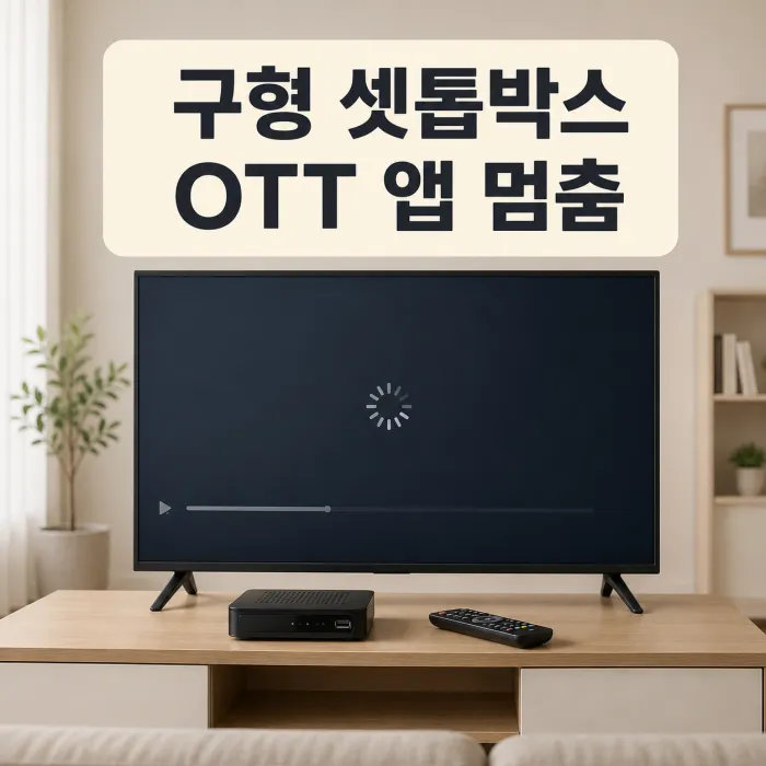 오래된 TV 셋톱박스 화면에서 발생한 셋톱박스 넷플릭스 튕김 문제