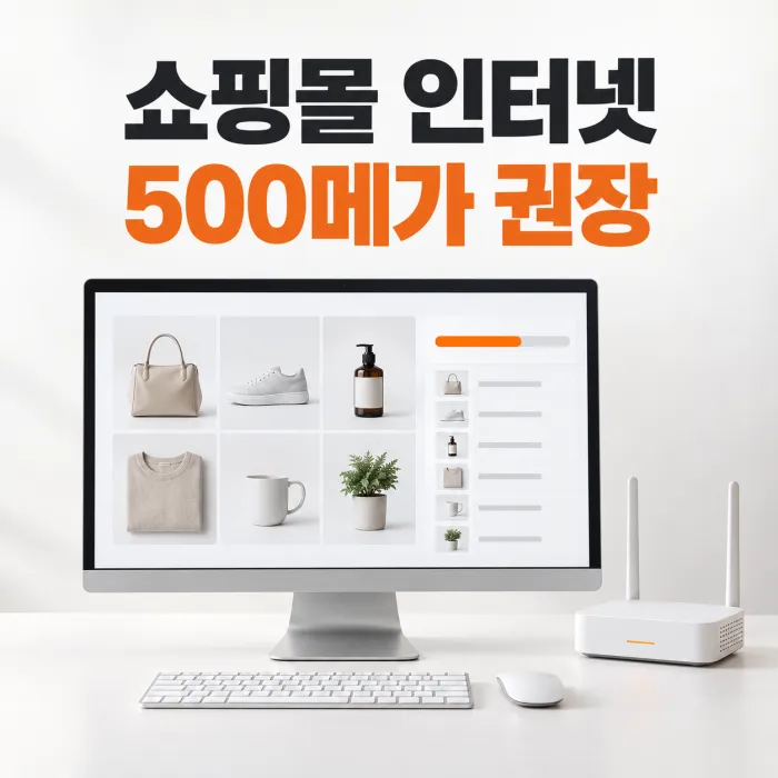 쇼핑몰 인터넷 500메가로 상품 사진과 상세페이지를 업로드하는 한국인 이커머스 셀러